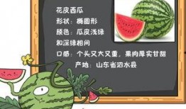 小说侯府吃瓜日常免费阅读,宫廷瓜田里的欢乐生活